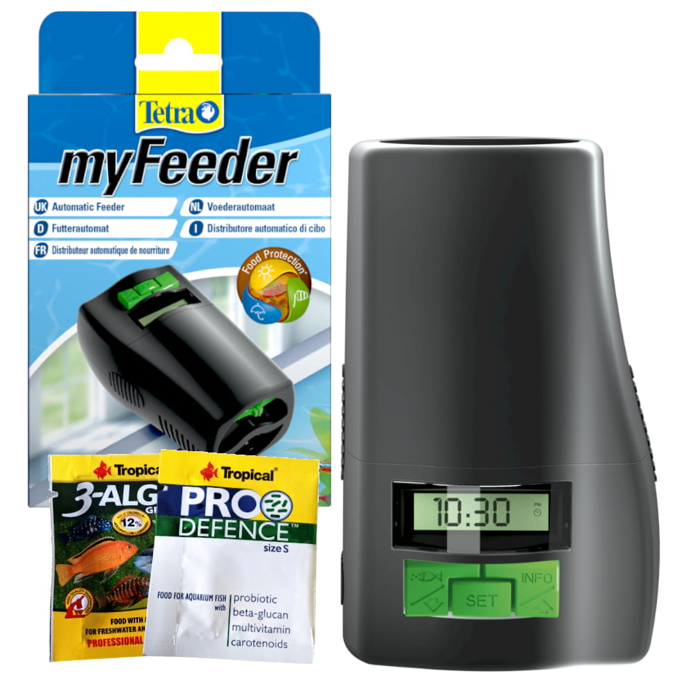 my feeder4.jpg
